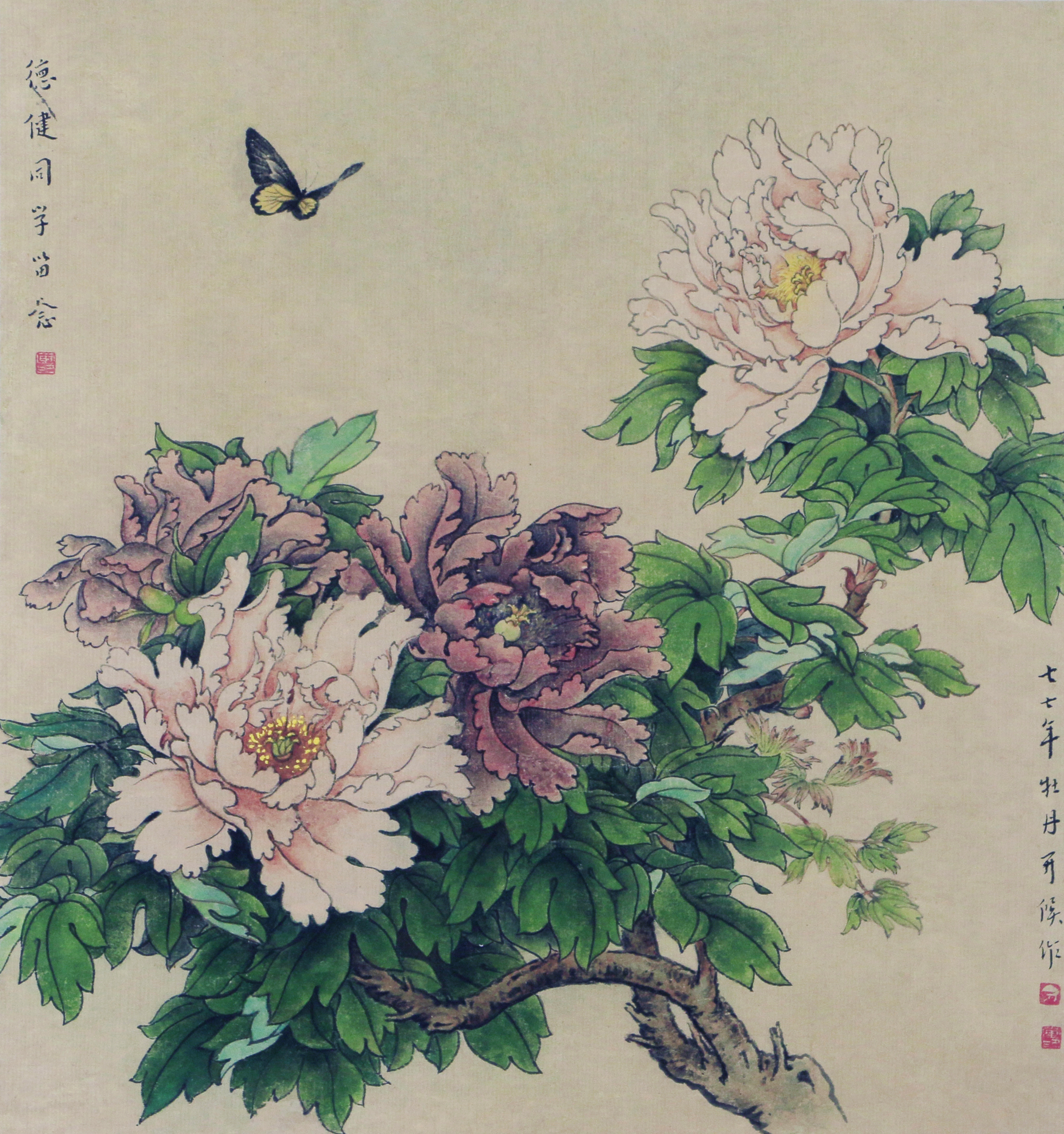 4 工笔牡丹32.5#30.5         1992#77